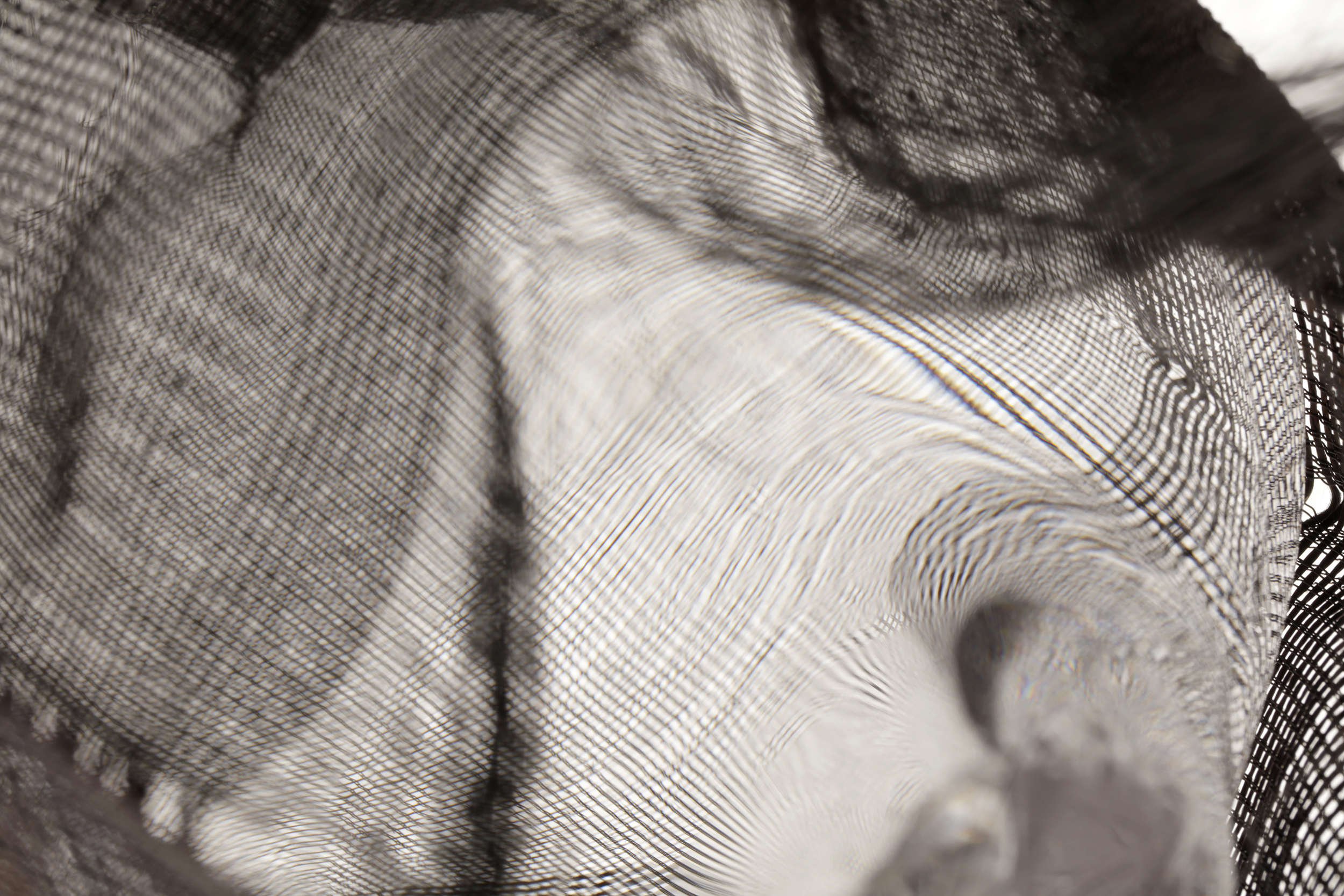 A picture of lines distorted through glass. On the righthand side of the frame fabric not covered by glass is visible.
